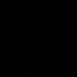 Meet your Posher, Annika